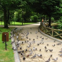 Foto de Oviedo