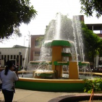 Foto de Aracua