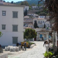 Foto de Hydra