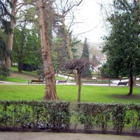 Foto de Oviedo