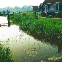 Foto de Zaanse Schans