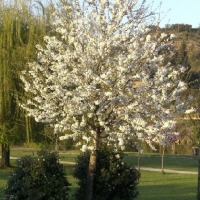 Foto de Mirandela