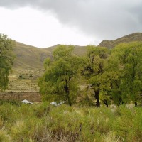 Foto de Oruro