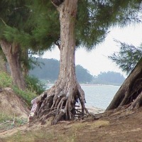 Foto de Maputo