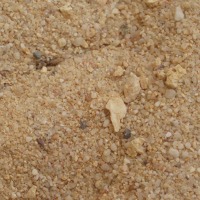 Foto de ALGARVE