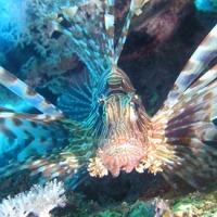 Foto de Mar Rojo