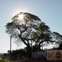 Foto de Maputo