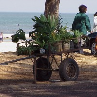 Foto de Maputo