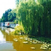 Foto de Delft