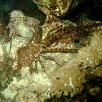 Foto de Mar Rojo