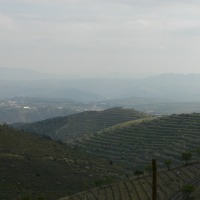 Foto de Vila Nova de Foz Côa