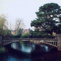 Foto de Cork