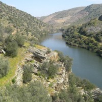 Foto de Vila Nova de Foz Côa