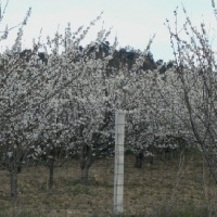 Foto de Vila Flor