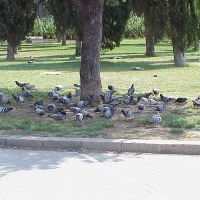 Foto de Barcelona