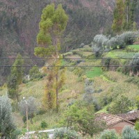 Foto de Tarmatambo (Tarma)