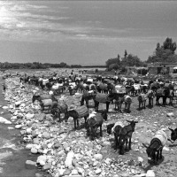Foto de Marrakech