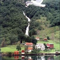 Foto de Sognefjord