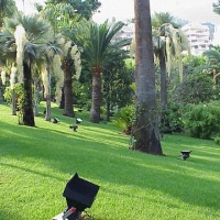 Foto de Montecarlo