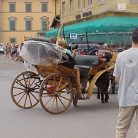 Foto de Pisa