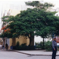 Foto de La Habana