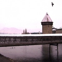 Foto de Luzerna