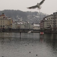 Foto de Luzerna