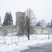 Foto de Luzerna