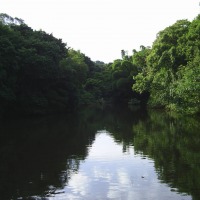 Foto de Londrina