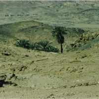 Foto de SINAI