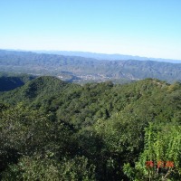 Foto de Camiri