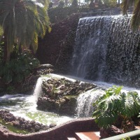 Foto de Puerto de la Cruz