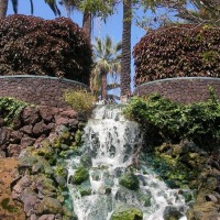 Foto de Puerto de la Cruz
