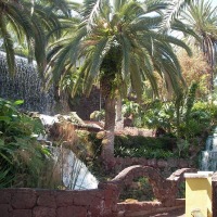 Foto de Puerto de la Cruz