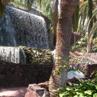 Foto de Puerto de la Cruz