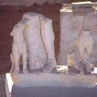 Foto de Alcalá de Henares