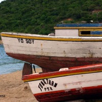 Foto de Maragarita