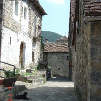 Foto de Fago
