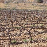 Foto de Almonacid de la Sierra