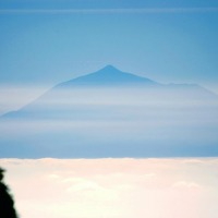 Foto de Santa Cruz de Tenerife