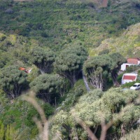 Foto de Barlovento - La Palma