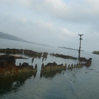 Foto de Parque Nacional Morrocy