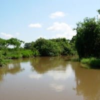 Foto de Apure