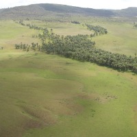 Foto de Canaima