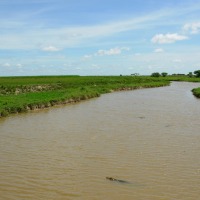 Foto de Apure