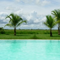 Foto de Apure