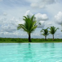 Foto de Apure