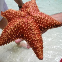 Foto de La Cienaga