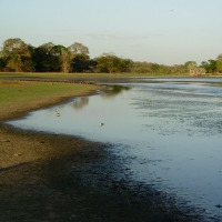 Foto de Cojedes