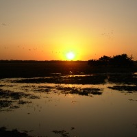 Foto de Cojedes